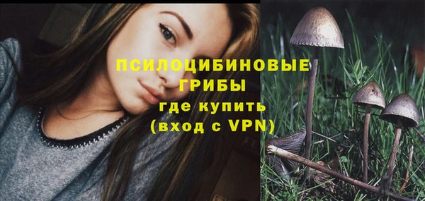 дживик Покачи