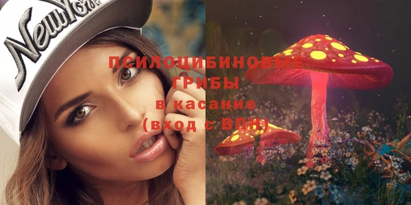 дживик Покачи