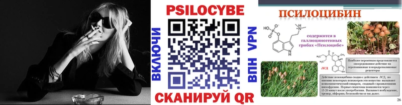 купить  сайты  Великий Устюг  Галлюциногенные грибы GOLDEN TEACHER 