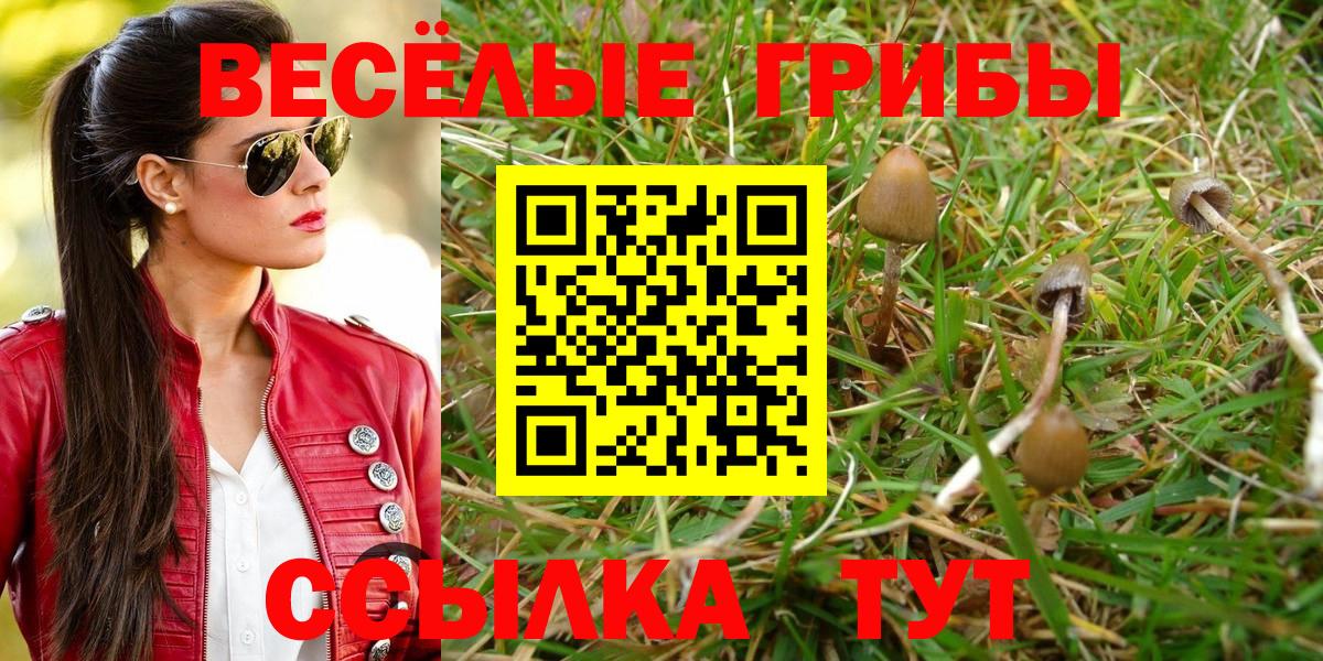 Псилоцибиновые грибы GOLDEN TEACHER Великий Устюг