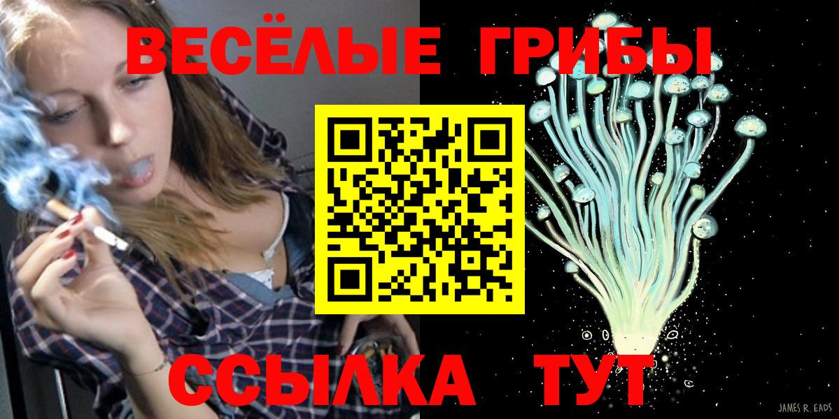 Великий Устюг  Галлюциногенные грибы Psilocybe  Вход с VPN 